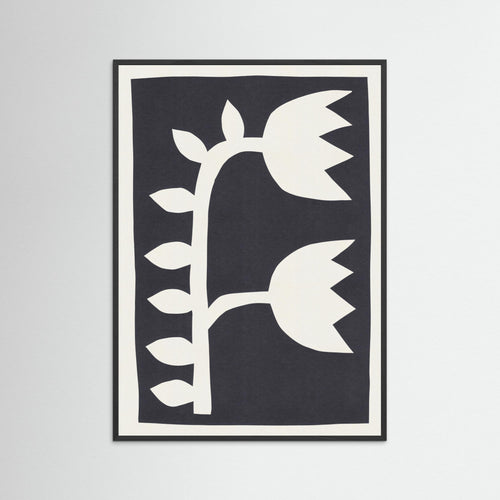 Black Tulips